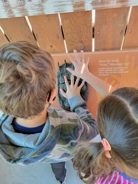 kids at zoo