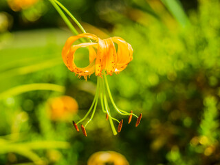 fragile 103