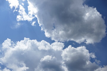warm afternoon cumulus clouds gathering overhead