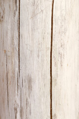 modern nordic style dry white driftwood background