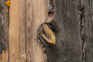 Old wood background with nail in black