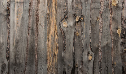 Old wood background with nail in black