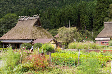Plakat Traditional thatched roof houses in small village of Miyama of Kyoto in Japan