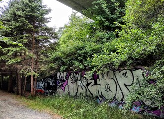 graffiti and plants 