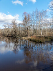 river view from the bridge, small river in early spring, blue sky and reflections in the water