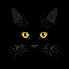 Black cat face with yellow eyes and vibrissae over black background