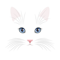 White cat face with blue eyes and vibrissae over white background