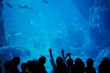 Tourist watch big aquarium in zoo