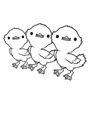 Team 3 Entenküken Freunde 