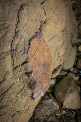 traces of iron ore can be seen in this rock in its rawest and most natural state. This was discovered on the west coast of scotland