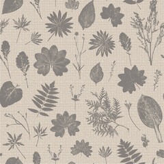Vector Natural Wildflowers and Herbs Print. Grass Leaf Silhouettes. Floral Background with Imitation Linen Burlap Texture. Stamp Leaves Seamless Pattern. Meadow Plants Vintage Brown Beige Wallpaper