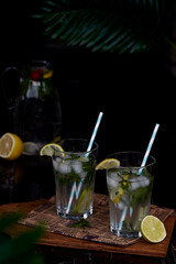 Summer homemade mojito with lemon, lime and mint. Refreshing, diet, detox infused, natural non-alcoholic cocktails. Healthy refreshing cocktails. Summertime drinks.