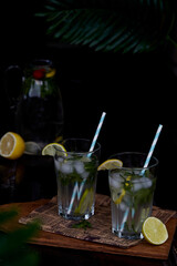 Summer infused water with lemon, lime and mint. Refreshing, diet, detox natural fortified water. Hard seltzer with nootropics. Healthy natural cocktails. Summertime beverages.