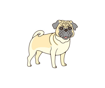Pug with wrinkled muzzle, dog, logo design. Animal, pet, pet shop and veterinary clinic, vector design and illustration