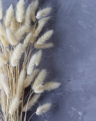 Fluffy dried flowers bouquet on the concrete background.