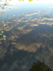 clouds over calm river water with floating grass leaves background in evening summer light