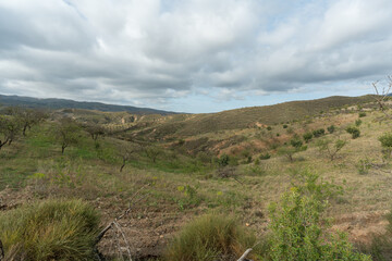 almond cultivation in southern spain