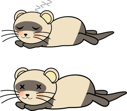 フェレット Images Browse 622 Stock Photos Vectors And Video Adobe Stock