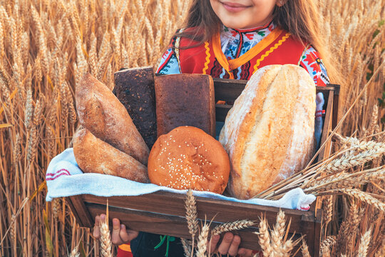 Bulgarian woman  or young girl in traditional folklore dress holds in hands golden wheat and freshly baked homemade bread in a bag