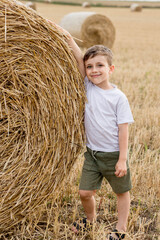 Naklejka na ściany i meble A cute little boy in a white t-shirt and khaki shorts is standing near round bales of hay. Photo session in the field