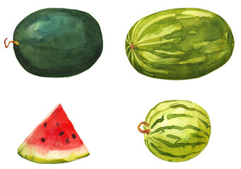 watercolor watermelon set isolated