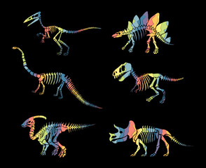 Vector set with rainbow dinosaur skeleton isolated on a black background.