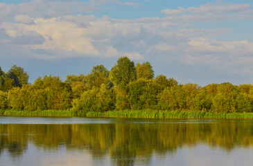 Landscape image of a lake with trees in the background with sky up above.