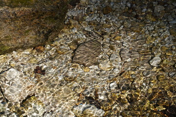 pebbles in a mountain river
