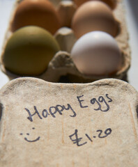 free range chicken eggs in a carton box with a 'happy eggs' handwriting.
