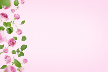 Pink background with roses and leaves