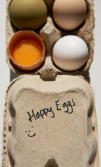 free range chicken eggs in a carton box with a 'happy eggs' handwriting.