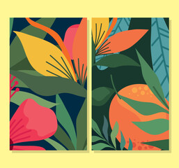 fruits and flowers patterns