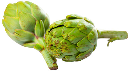 Fresh ripe artichokes. Ingredients for cooking. Isolated over white background
