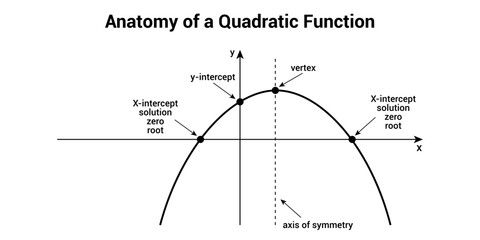 Anatomy of quadratic function. Parts of a parabola