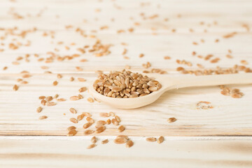 Spoon with wholegrain spelt farro on wooden table