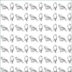 Nightingale bird drawing pattern background