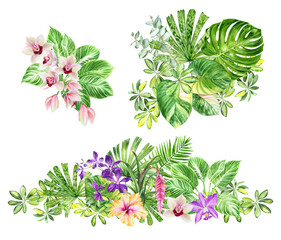 Watercolor set of tropical plants. Exotic flower and leaf backgrounds for banners, cards, wedding stationery, greetings, backgrounds, textiles, DIY, wrapping paper.