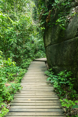 Wooden trail in the Tayrona National Natural Park in Colombia