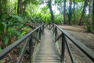 Trail on the way to Arrecifes in Tayrona National Natural park in Colombia