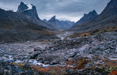 Wild Weasel river winds through remote arctic valley of Akshayuk Pass, Baffin Island, Canada on a cloudy day. Dramatic arctic landscape with Mt. Breidablik and Mt. Thor. Autumn colors in the arctic. © Petr