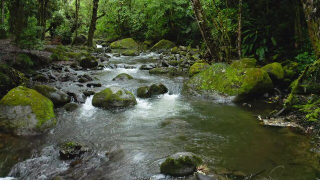 Aerial Drone View of River in Costa Rica Rainforest Scenery, Beautiful Nature with Water Flowing Through the Jungle at Savegre, San Gerardo De Dota, Central America