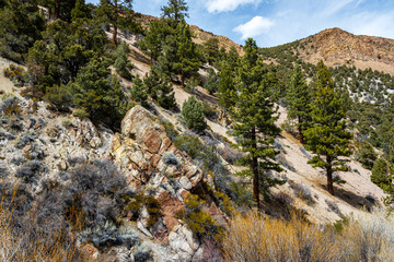 landscape in the mountains