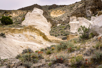 Fototapeta premium landscape in the desert