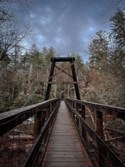 Bridge into a dark forest 