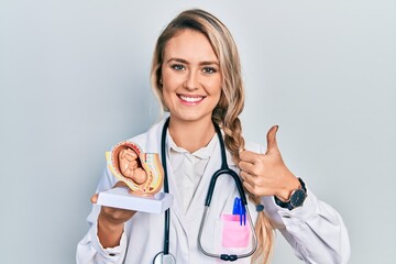 Beautiful young blonde doctor woman holding anatomical model of female uterus with fetus smiling...
