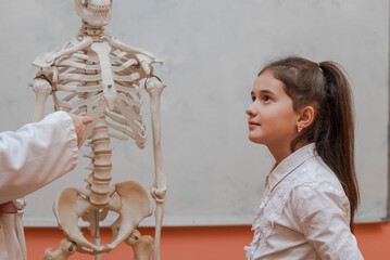 School child observantly listening to the biology teacher as he practically explains the structure of a human skeleton with the help of the model.