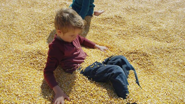 5 year old boy laying in pile of corn kernels covers himself up with more corn