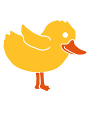 Entchen süßes Hühner Küken 