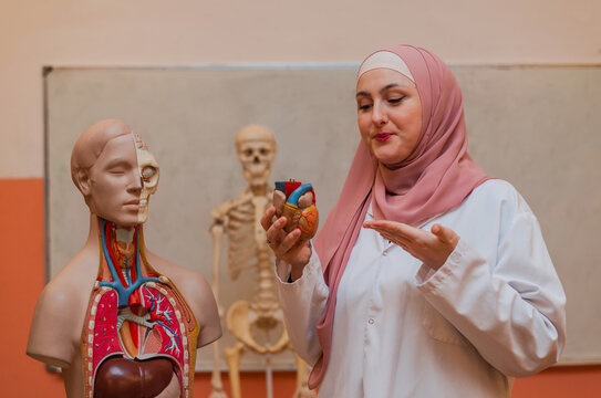 A Muslim female teacher uses the human body model to explain anatomy in biology class in the classroom lab.