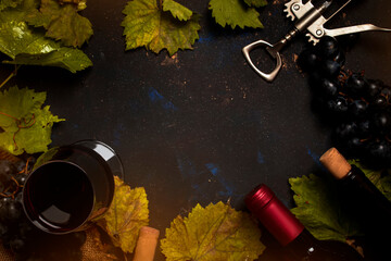 Red wine Cabernet Franc in  glass on  dark background with autumn grape leaves, top view